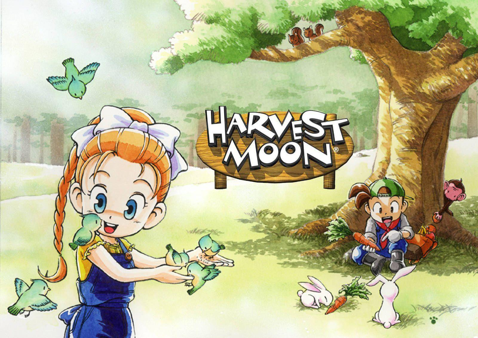 ds harvest moon game