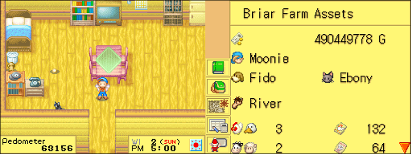 harvest moon ds