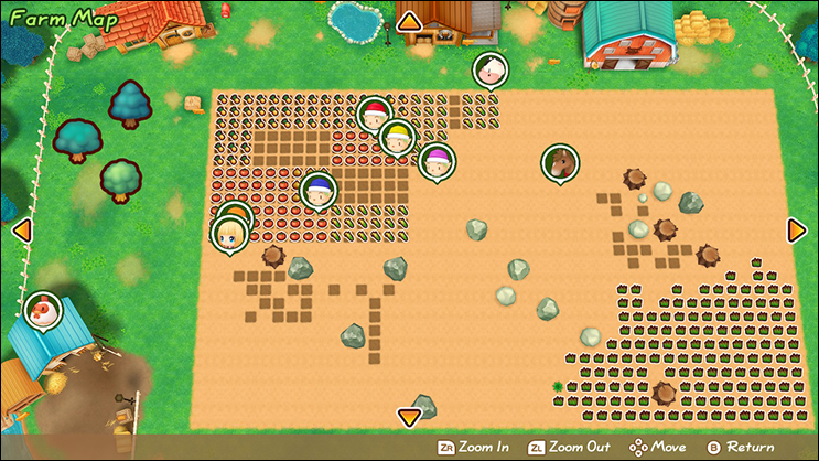 friends of mineral town farm map