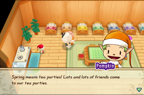 The Nature Sprite Tea Party In 'Friends of Mineral Town' 9