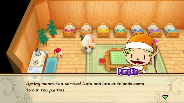 harvest moon friends of mineral town grass