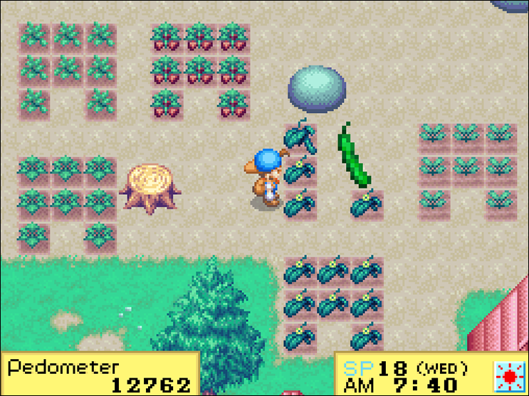 harvest moon friends of mineral town crops